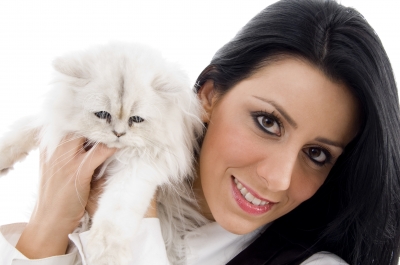 Cat Health: Wellness für die Katze